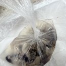 남당항 | 남당항맛집 새조개축제 남당항새조개 택배로 즐긴 후기