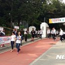 진해구 ⓒ-23 뉴시스