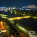 동천 야광 축제 이미지