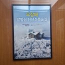 원터목장 | [용평발왕산케이블카] 발왕산숲길 케이블카 무료탑승팁과 추천인듯 비추같은 후기