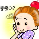 첨밀당 이미지