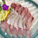 삼융프라자 | 부산 정관 진심횟집 주차 웨이팅 방어회 광어회 새우튀김 맛집