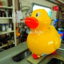 오일타운 이미지