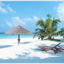 안암초등학교 이미지