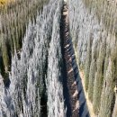 태림농원 이미지