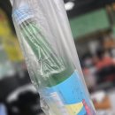 정가네생선구이전문 | 여수 맛집 추천 정가네 갓 칼치조림 생선구이 방문 후기