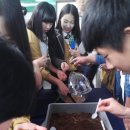 한국곤충연구소 이미지