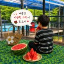 경천민박 | 전북 완주 아이와 가볼 만한 곳, 부모님과 함께 다녀온 마짐바위펜션 솔직후기🏡