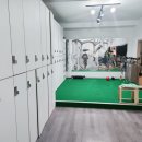 에이스 골프 아카데미 이미지