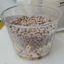 WR(대구광역시 중구)-61[중앙대로]-하-13 | ✧･ﾟ: *✧･ﾟ:* 　대구 여행　 *:･ﾟ✧*:･ﾟ✧