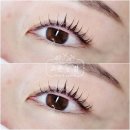 고운:결 이미지