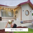 마로스테이 이미지