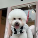 프롬 유니 이미지