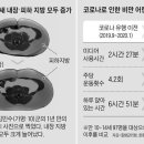 대신분식