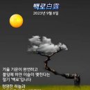 9월8일 뉴스브리핑 이미지