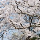 경주조선온천사우나 이미지