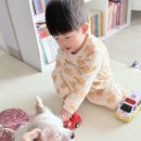 전남낙협동물병원 | 노견 15살 강아지 기록 / 부산 보듬동물병원 / 뉴로동물병원 진료 후기 및 비용