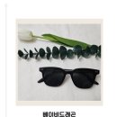 판교 글라스안경 | 선글라스추천 베이비드래곤 유행 안 타는 감각적인 디자인