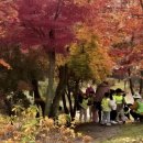 한숲산내음공원 이미지