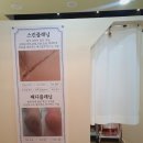 푸르던뷰티앤스킨