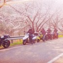 세븐일레븐고령쌍림점 이미지