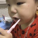 닛시 디자인 네이버블로그