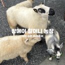 용서농장 | [대만 이란] 타이베이 근교 이란 당일치기 장메이 농장 택시투어로 힐링한 하루