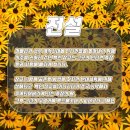 오늘꽃배달