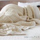 코코마요 이미지