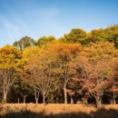 분당-173 이미지