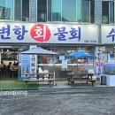 죽변항회물회 이미지