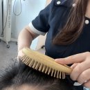 죽전 지하차도1L | 대구헤드스파, 닥터포헤어 대구죽전역점에서 받은 두피스케일링 후기