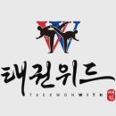 지음태권도 이미지