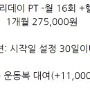에브리데이 PT 이미지