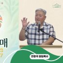 성령의 열매 강해 ⑤ / 오래 참음(Kindness) (갈라디아서 5:22, 23; 누가복음 10:25~37) 이미지