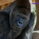 2080연합피부과의원 이미지