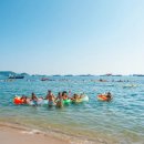 DMZ 접경지역 유천민박 | 마차진해수욕장 개장, 강원도 고성 숙소·펜션·민박 총정리(취사/스노쿨링/조개캐기)