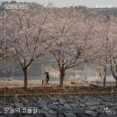 충무도서관 | 걷기 좋은 여행지ㅣ아름다운 통영시를 느낄 수 있는, 남파랑길 14코스