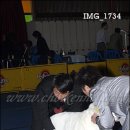 블루자