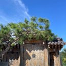 한옥 청송재 펜션 이미지