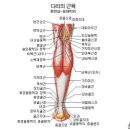 엘린바른자세연구소