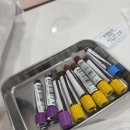 상상동물병원 | [35주차 임신기록] 차병원 임산부체험 / 어린이의 말 / 멋진 신세계