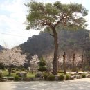 거칠현공원 이미지