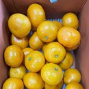 한정농장 이미지