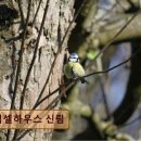 CU 신림중앙점 | 신림동 고시텔 추천 픽셀하우스 신림 깨끗함과 편리함이 돋보이는 공간