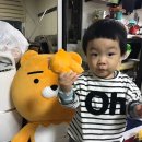 시누키네