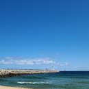 청호동 방파제 이미지