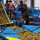 벌교농협농산물산지유통센터 이미지