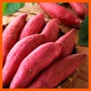 씨앗피트니스 이미지