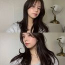 분당 애쉬브라운 웨딩염색 웨딩컬러 퓨어아틀리에 제니